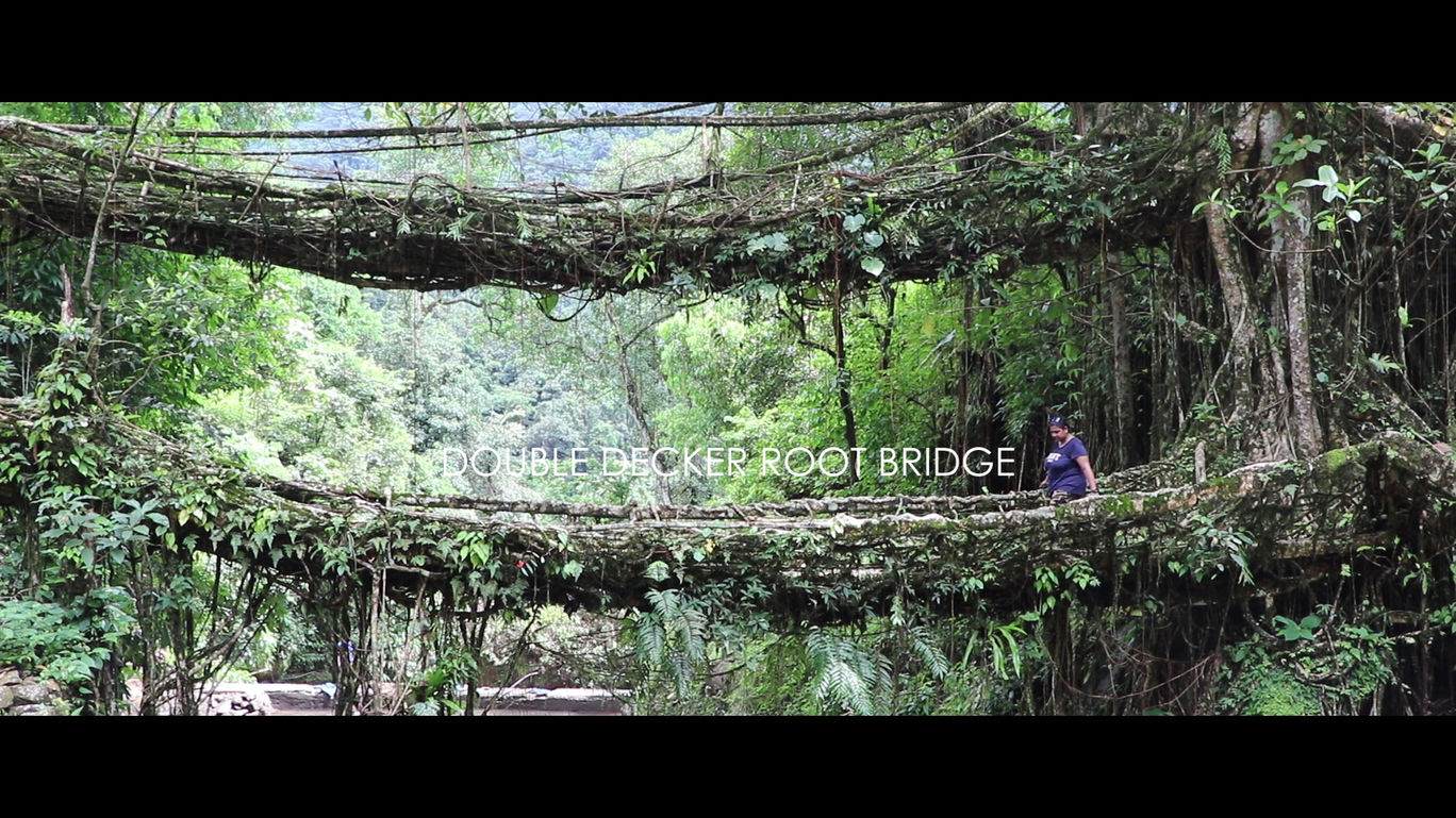 Double Decker Living Root Bridge, Cherrapunjee, Meghalaya