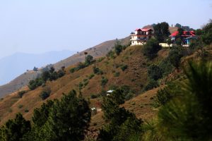 Hotel on top in shimla - TravelPlacesIndia